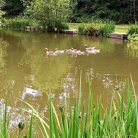 Hotel Hollicarrs - Waters Edge Selby